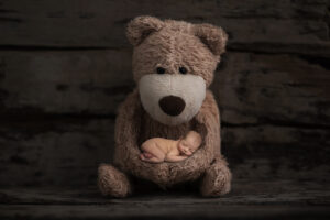Teddy Bear