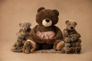 bear