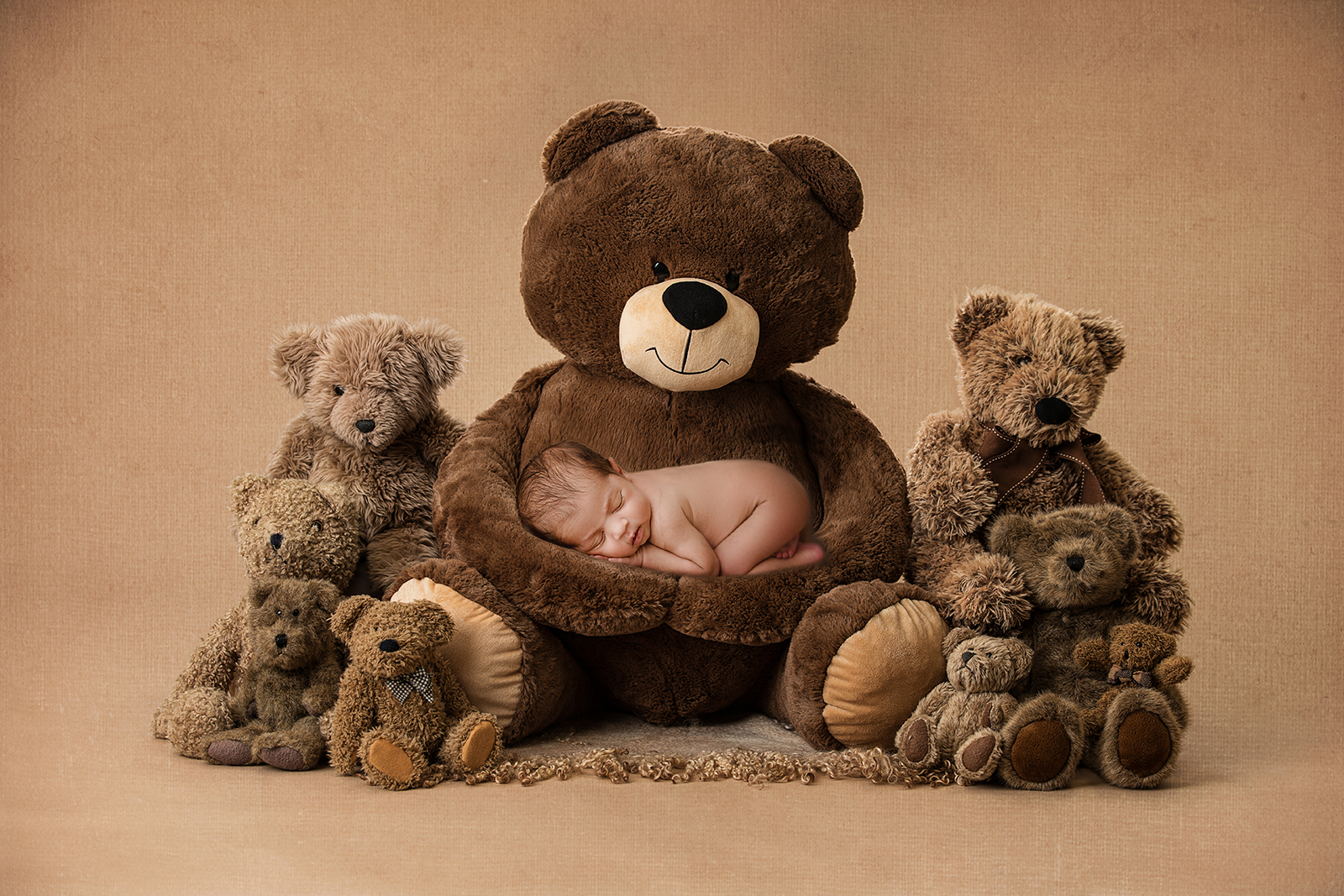bear