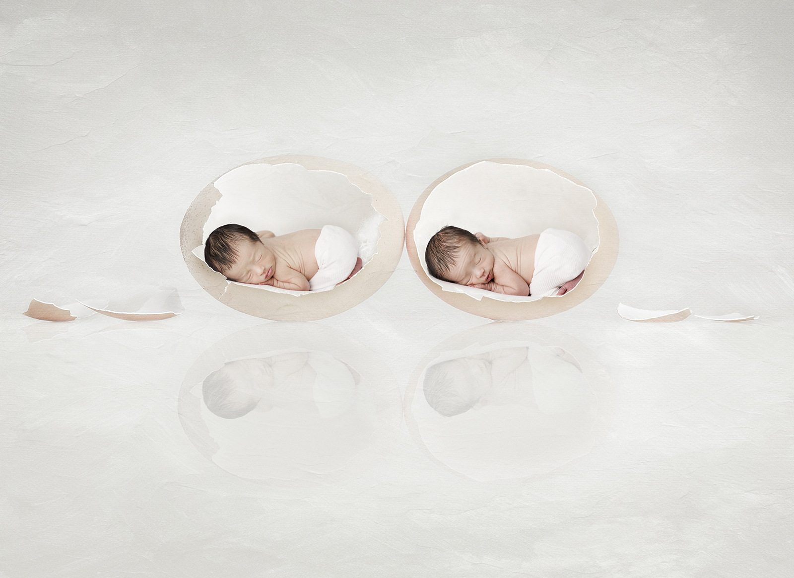 egg
