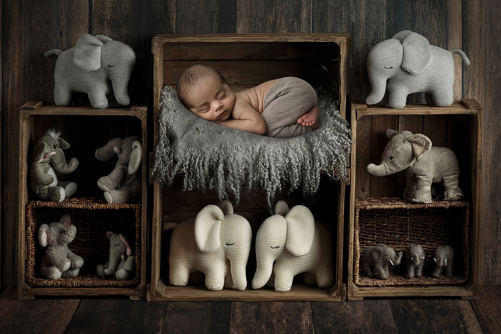 elephants